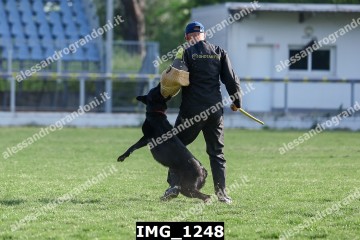 IMG_1248.jpg