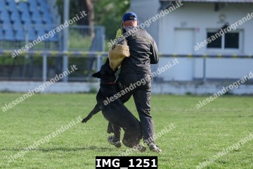 IMG_1251.jpg