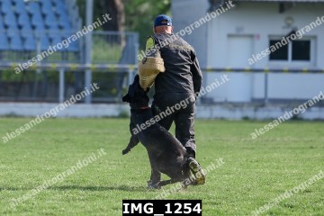 IMG_1254.jpg