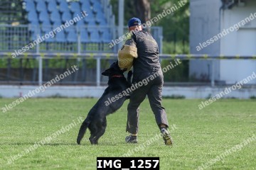 IMG_1257.jpg