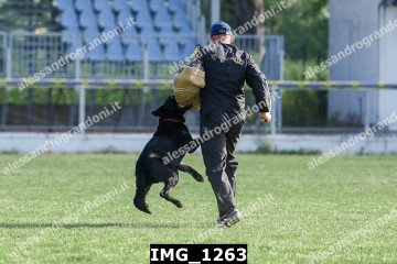 IMG_1263.jpg