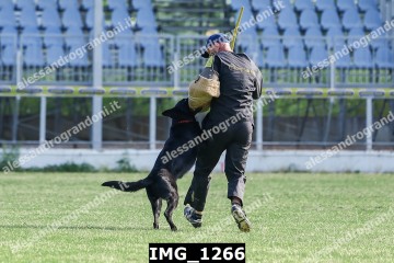 IMG_1266.jpg