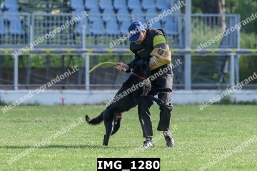 IMG_1280.jpg