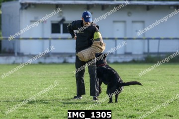IMG_1305.jpg