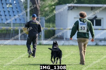IMG_1308.jpg