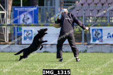 IMG_1315.jpg