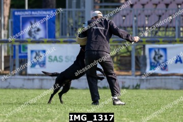 IMG_1317.jpg