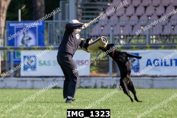 IMG_1323.jpg