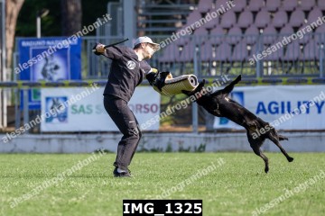 IMG_1325.jpg