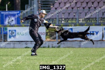 IMG_1327.jpg