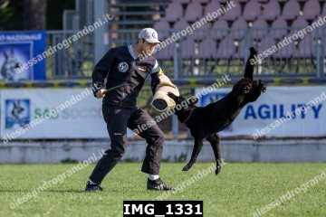 IMG_1331.jpg
