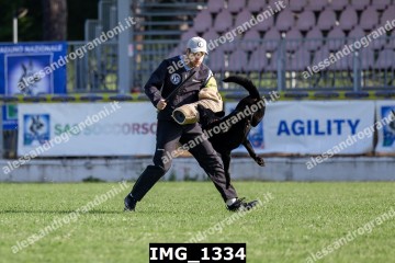 IMG_1334.jpg