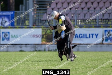 IMG_1343.jpg