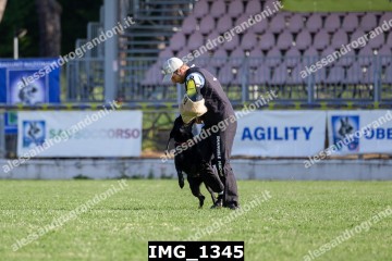 IMG_1345.jpg