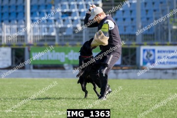 IMG_1363.jpg