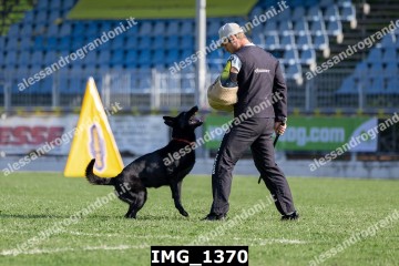 IMG_1370.jpg