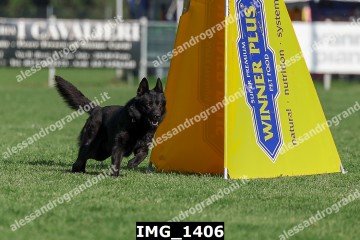 IMG_1406.jpg