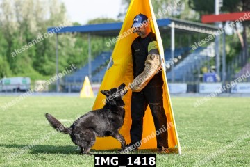 IMG_1418.jpg