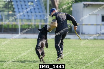 IMG_1441.jpg