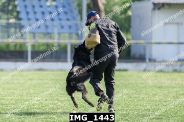 IMG_1443.jpg
