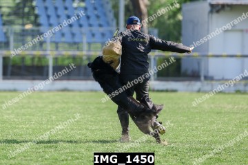 IMG_1450.jpg