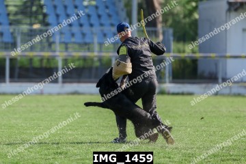 IMG_1459.jpg
