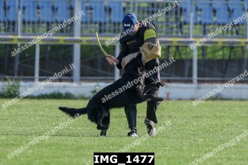 IMG_1477.jpg