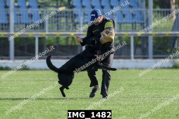 IMG_1482.jpg