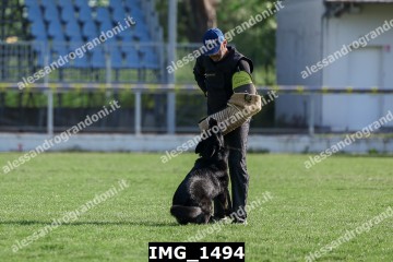 IMG_1494.jpg