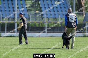 IMG_1500.jpg
