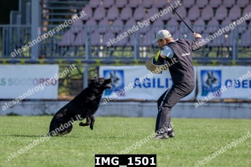 IMG_1501.jpg