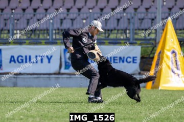 IMG_1526.jpg