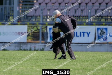 IMG_1530.jpg