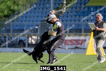 IMG_1541.jpg