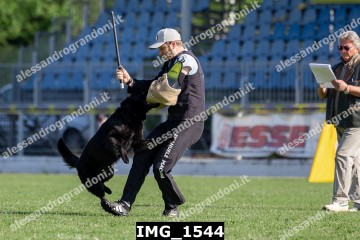 IMG_1544.jpg