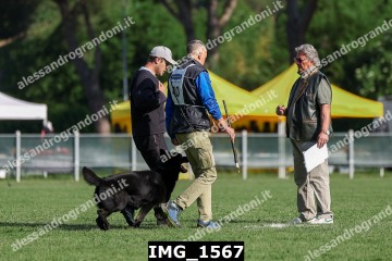 IMG_1567.jpg