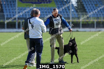 IMG_1570.jpg