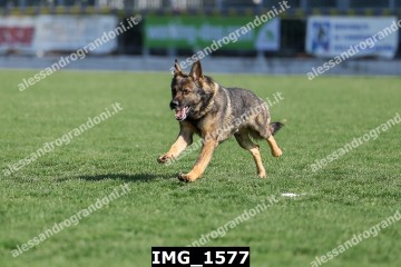 IMG_1577.jpg