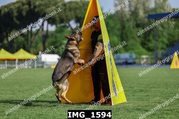 IMG_1594.jpg