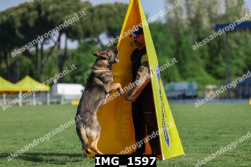 IMG_1597.jpg