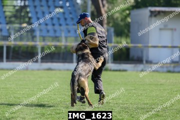 IMG_1623.jpg