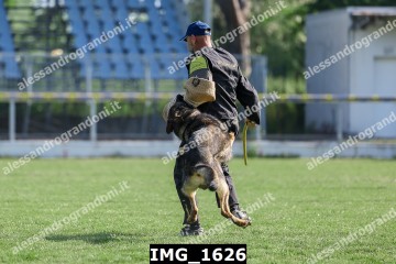 IMG_1626.jpg