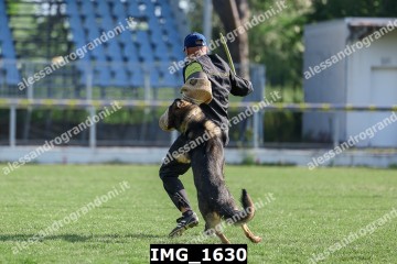 IMG_1630.jpg