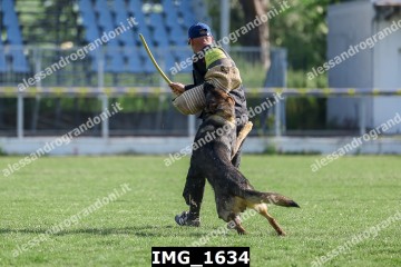 IMG_1634.jpg