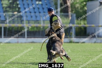 IMG_1637.jpg