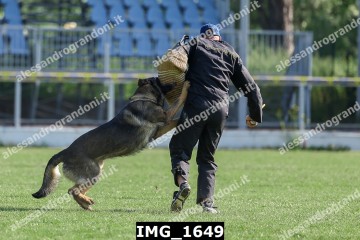 IMG_1649.jpg