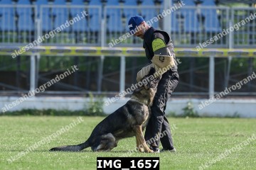 IMG_1657.jpg