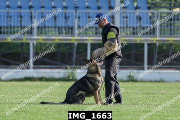 IMG_1663.jpg