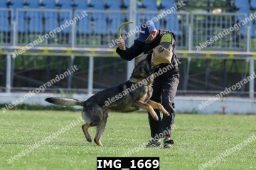 IMG_1669.jpg