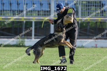 IMG_1672.jpg